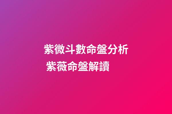 紫微斗數命盤分析 紫薇命盤解讀-第1張-觀點-玄機派
